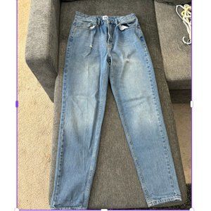 BDG by Urban Outfiiters Mom Jenas